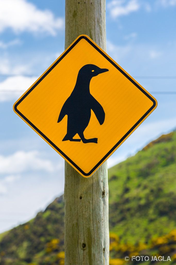 Vorsicht Seehund Schild am Penguin Place in Dunedin
Caution Seals Traffic Sign
Neuseeland (Sdinsel)
