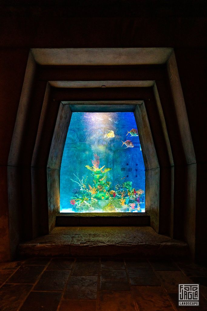 Riesiges Aquarium im Atlantis Paradise Island Resort
Fenster in eine andere Welt
Bahamas, Paradise Island