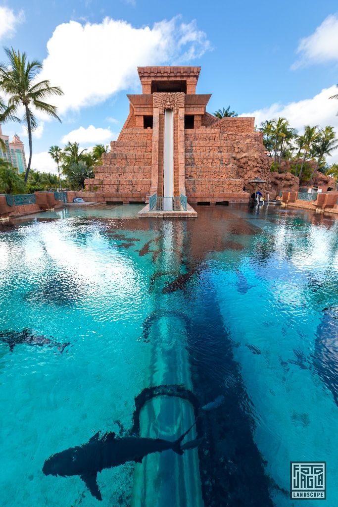 Atlantis Paradise Island Resort
Rutsche mit Unterwasser-Tunnel und Haien
Bahamas, Paradise Island