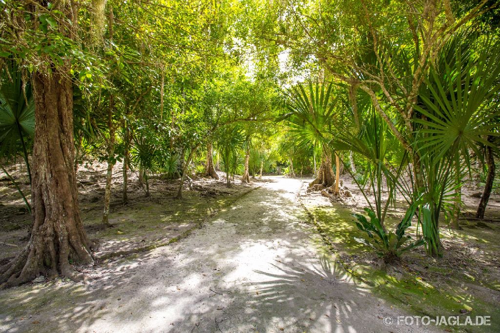 70000 Tons of Metal 2014 ::. Mayan Ruins - Costa Maya (Mexico)