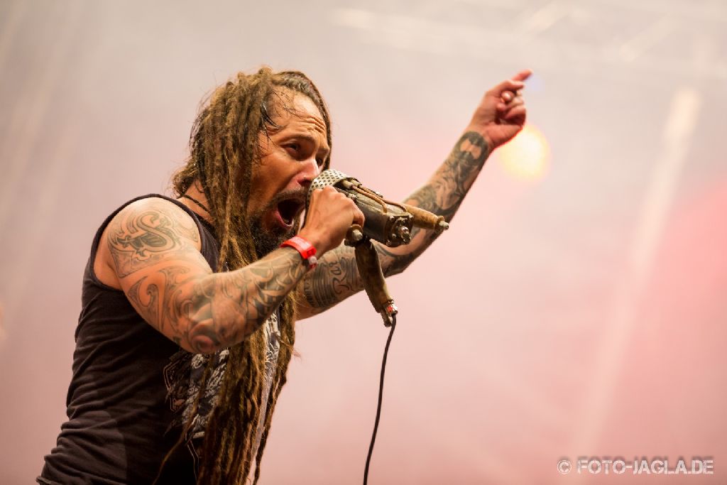 Metaldays 2014 ::. Amorphis