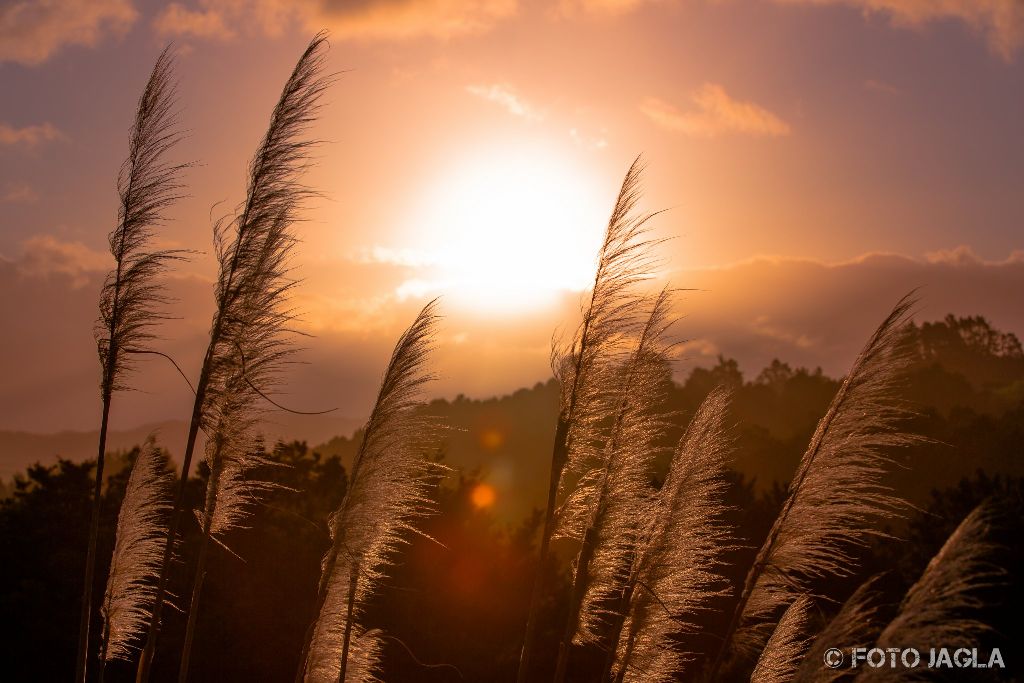 Neuseeland (Nordinsel) - Sonnenuntergang