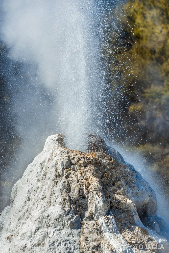 Der Lady Knox Geyser in Wai-o-tapu
Thermal Wonderland
Neuseeland (Nordinsel)