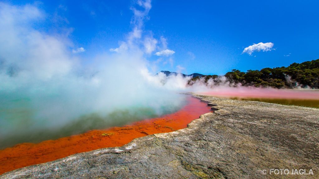 Champagne Pool im Wai-O-Tapu Thermal Wonderland
Rotura
Neuseeland (Nordinsel)