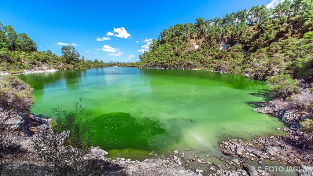 Wai-O-Tapu Thermal Wonderland
Rotura
Neuseeland (Nordinsel)