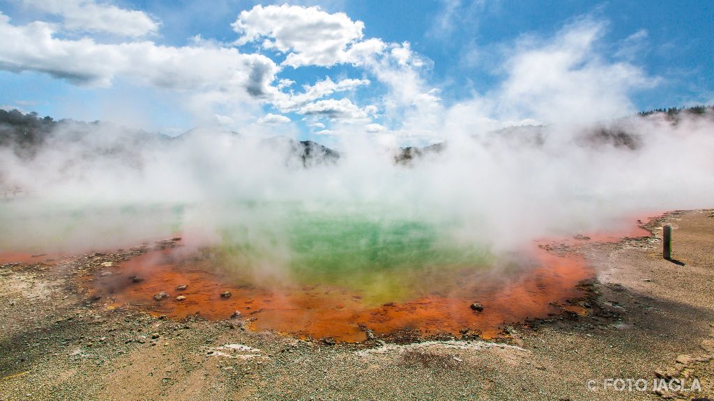 Champagne Pool im Wai-O-Tapu Thermal Wonderland
Rotura
Neuseeland (Nordinsel)