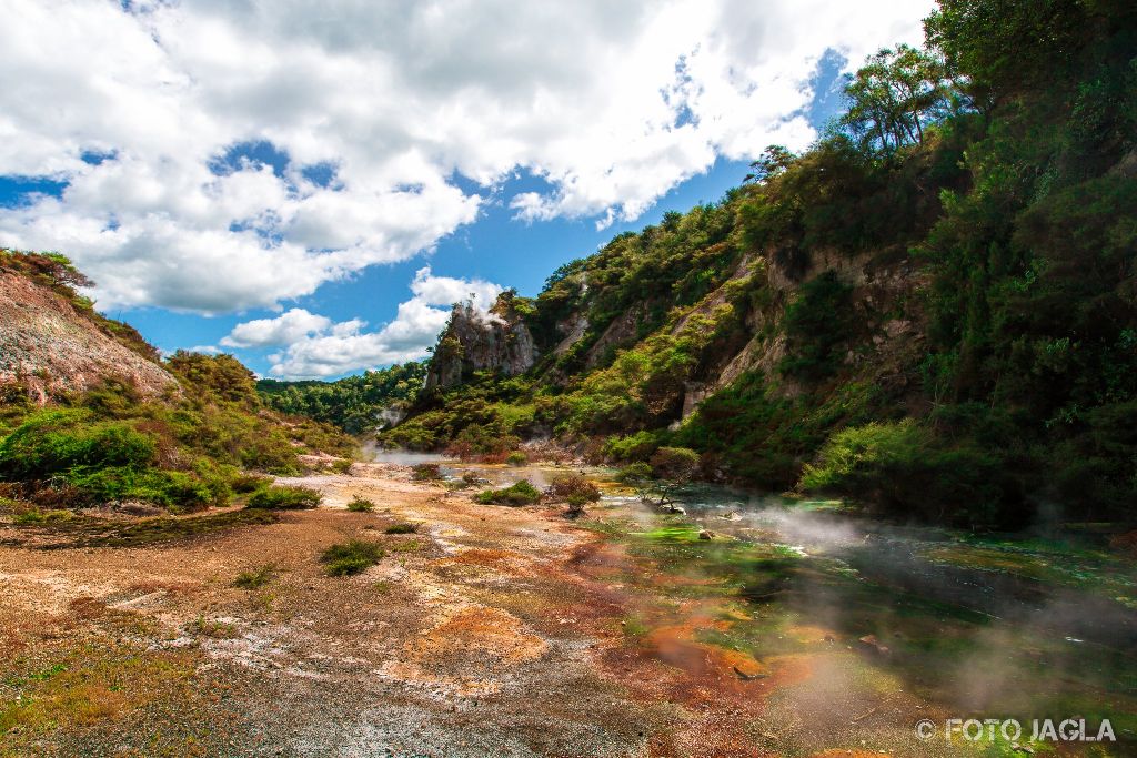 Waimangu Volcanic Valley
Neuseeland (Nordinsel)