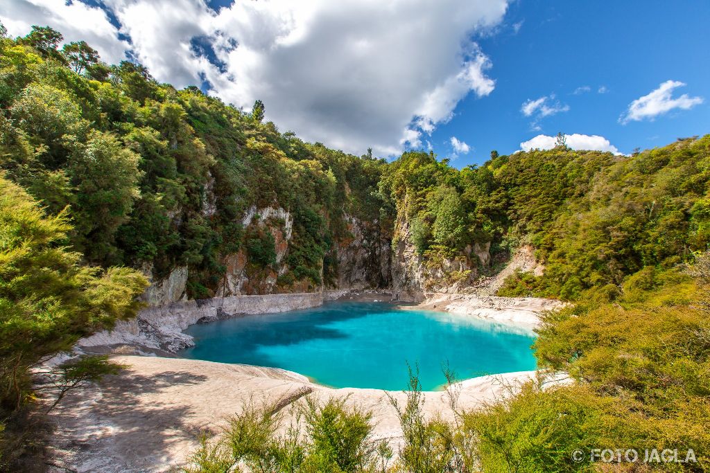 Waimangu Volcanic Valley
Neuseeland (Nordinsel)