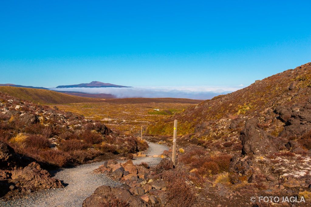 Tongariro National Park
Alpine Crossing Tour durch die wunderschne Berglandschaft
Neuseeland (Nordinsel)