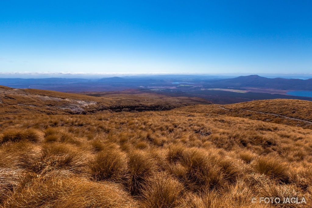 Tongariro National Park
Alpine Crossing Tour durch die wunderschne Berglandschaft
Neuseeland (Nordinsel)