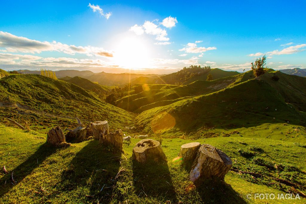 Irgendwo in der Nhe von Wanganui
Neuseeland (Nordinsel)