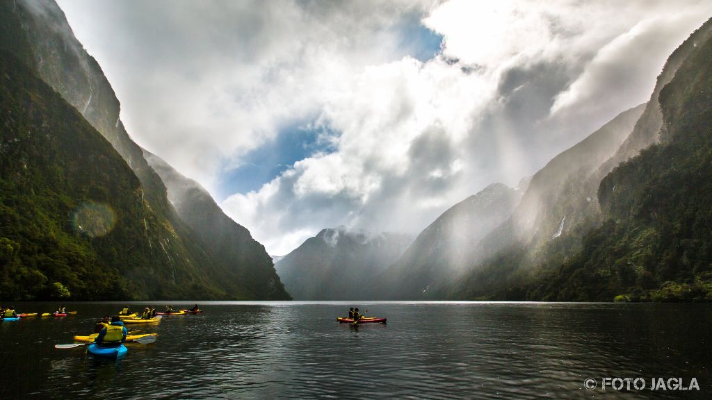 Doubtful Sound, Fiordland-Nationalpark
Kajaking durch die Fjorde
Neuseeland (Sdinsel)