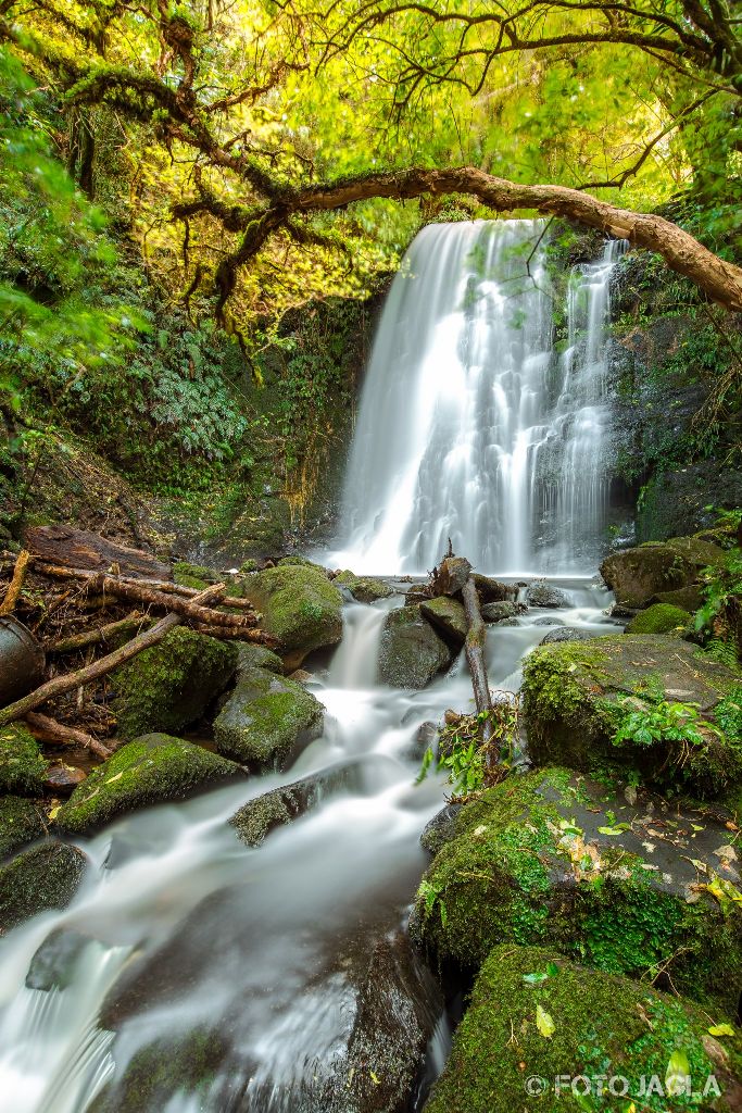 Matai Falls in den Catlins
Neuseeland (Südinsel)