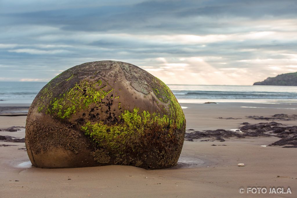 Moeraki Boulders bei Sonnenaufgang am Koekohe Beach an der Kste von Otago
Neuseeland (Sdinsel)