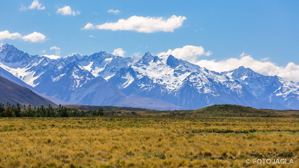 Steppe und schneebedeckte Berge in der Nhe von Fairlie
Neuseeland (Sdinsel)