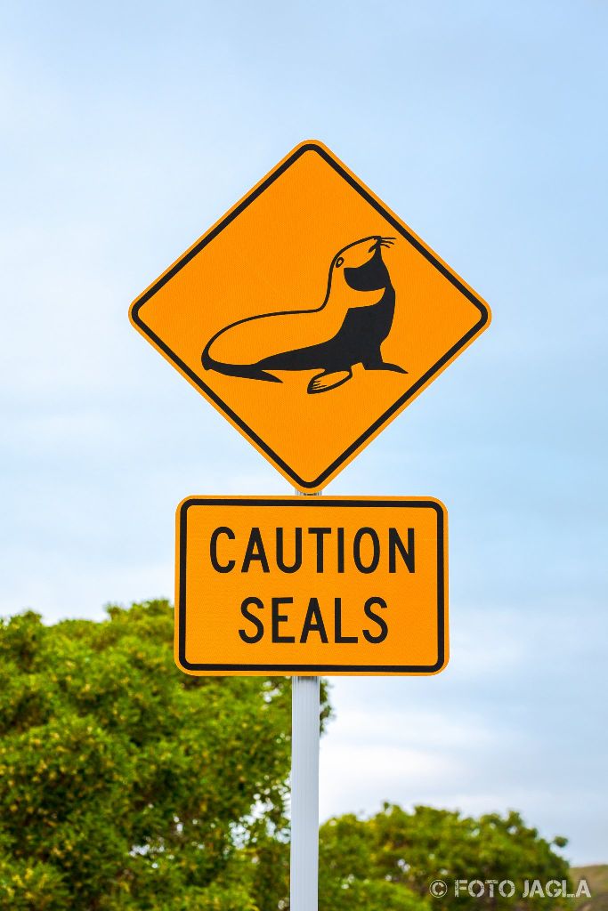 Caution Seals Traffic Sign
Seehund Verkehrszeichen in Kaikoura (Penguin Walkway)
Neuseeland (Südinsel)