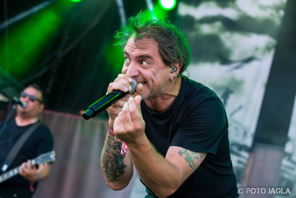 Summer Breeze Open Air 2017 in Dinkelsbhl
BETONTOD auf der Summer Stage