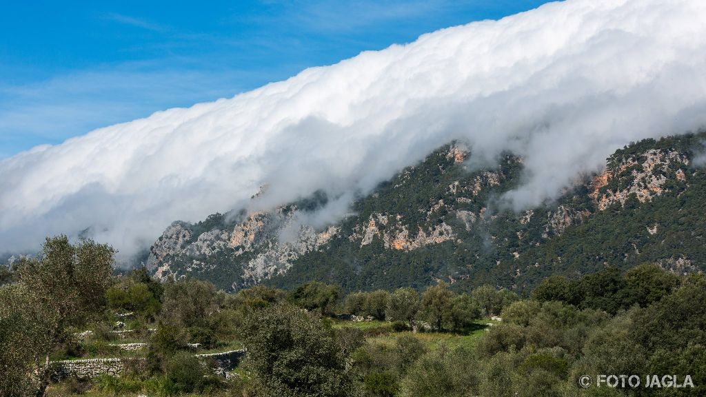 Mallorca
Irgendwo in den Bergen auf dem Weg nach Valldemossa