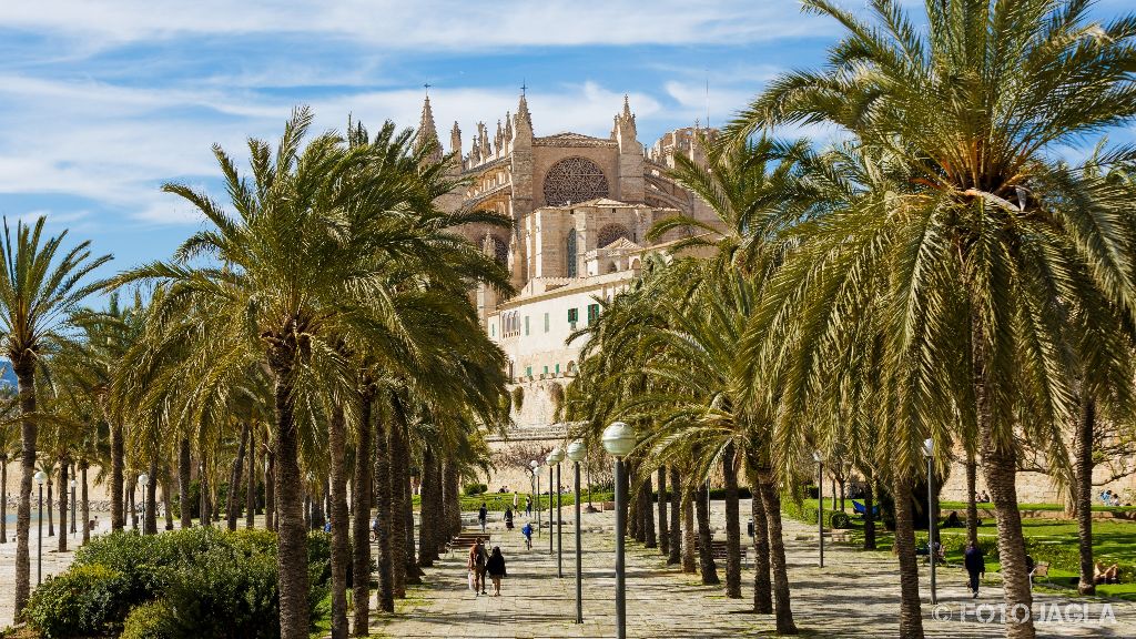 Mallorca
Kathedrale La Seu in Palma