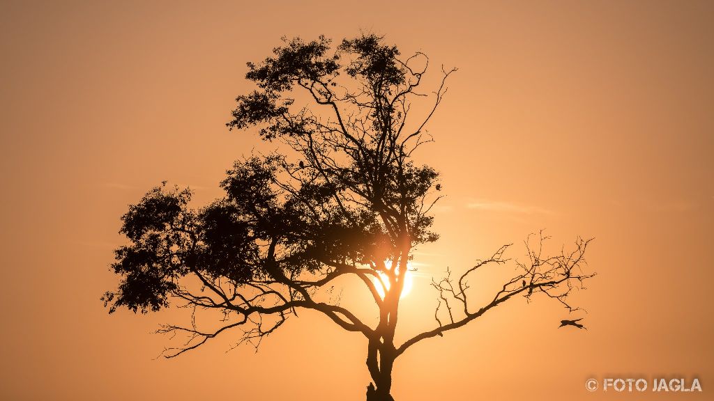 Kalifornien - September 2018
Schner Sonnenuntergang am Strand bei Carpinteria
Highway 1