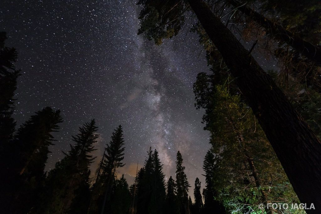 Kalifornien - September 2018
Milchstrae am Sternenhimmel
Hume - Grant Crove - Azalea Campground