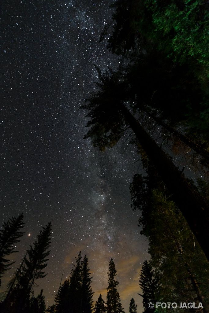 Kalifornien - September 2018
Milchstrae am Sternenhimmel
Hume - Grant Crove - Azalea Campground