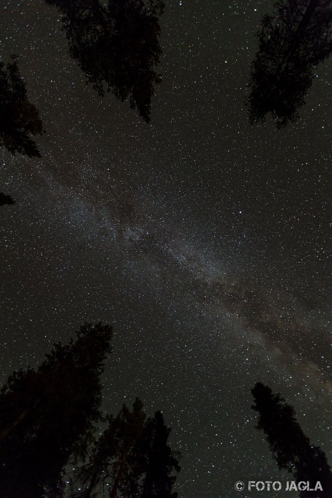 Kalifornien - September 2018
Milchstrae am Sternenhimmel am Lodgepole Campground
Sequoia National Park - Three Rivers