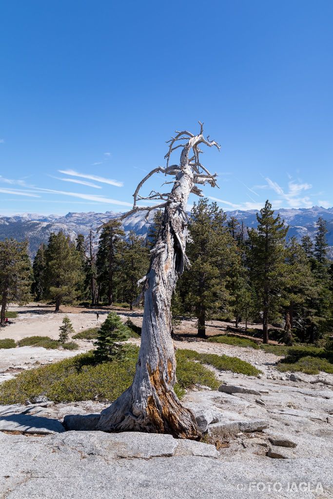 Kalifornien - September 2018
Ausblick vom Sentinel Dome
Yosemite National Park - Yosemite Valley, Mariposa Country