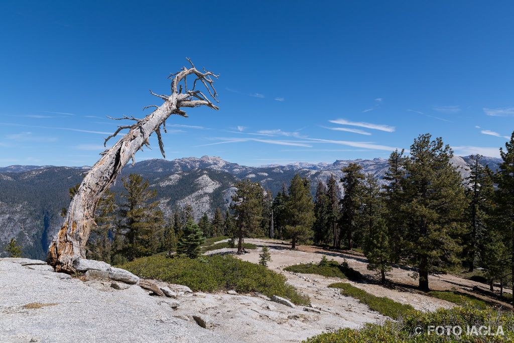 Kalifornien - September 2018
Ausblick vom Sentinel Dome
Yosemite National Park - Yosemite Valley, Mariposa Country