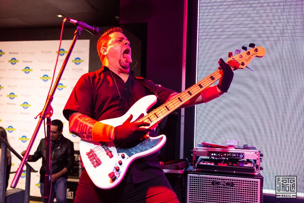 70000 Tons Of Metal 2019
Pre-Party at Clevelander Hotel, Miami (Florida)