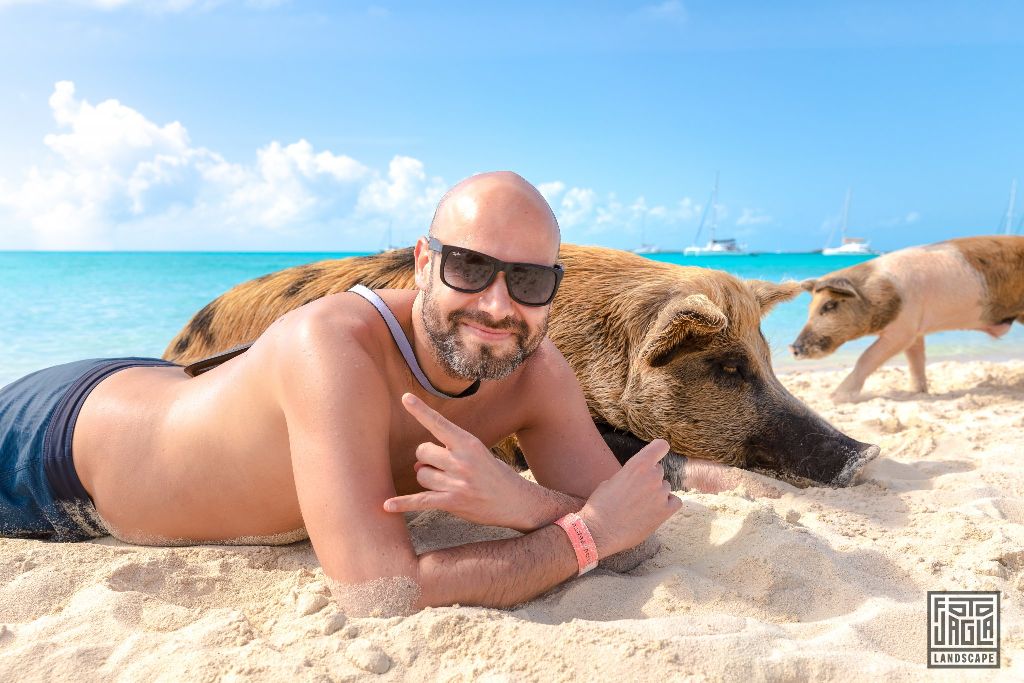 Exuma (Black Point), Bahamas
Erlebnisurlaub - Mit den schweinen im Wasser schwimmen