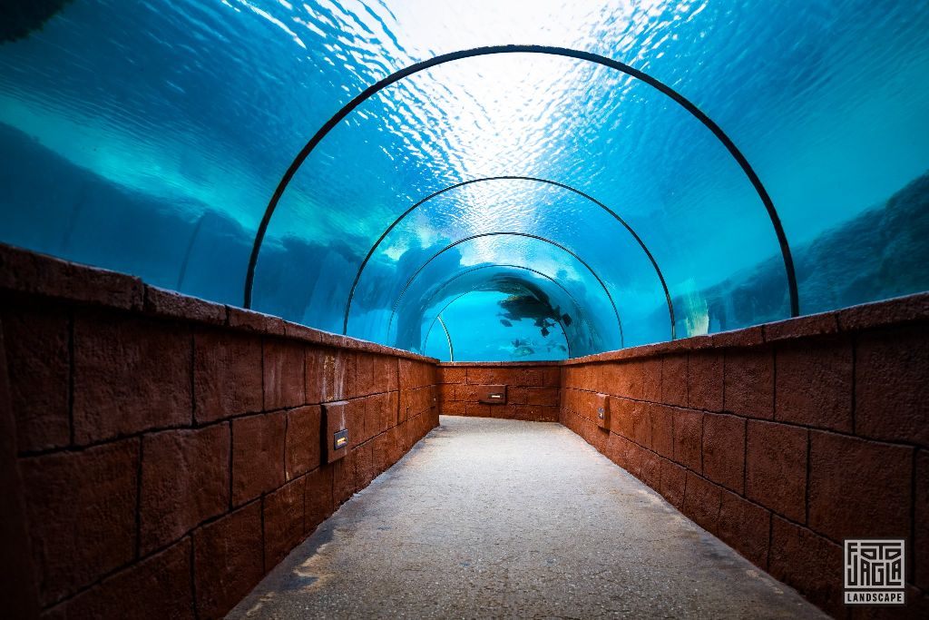 Atlantis Paradise Island Resort
Unterwasser Tunnel
Bahamas, Paradise Island