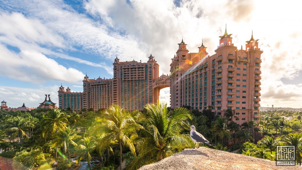 Atlantis Paradise Island Resort
Bahamas, Paradise Island
Royal Towers