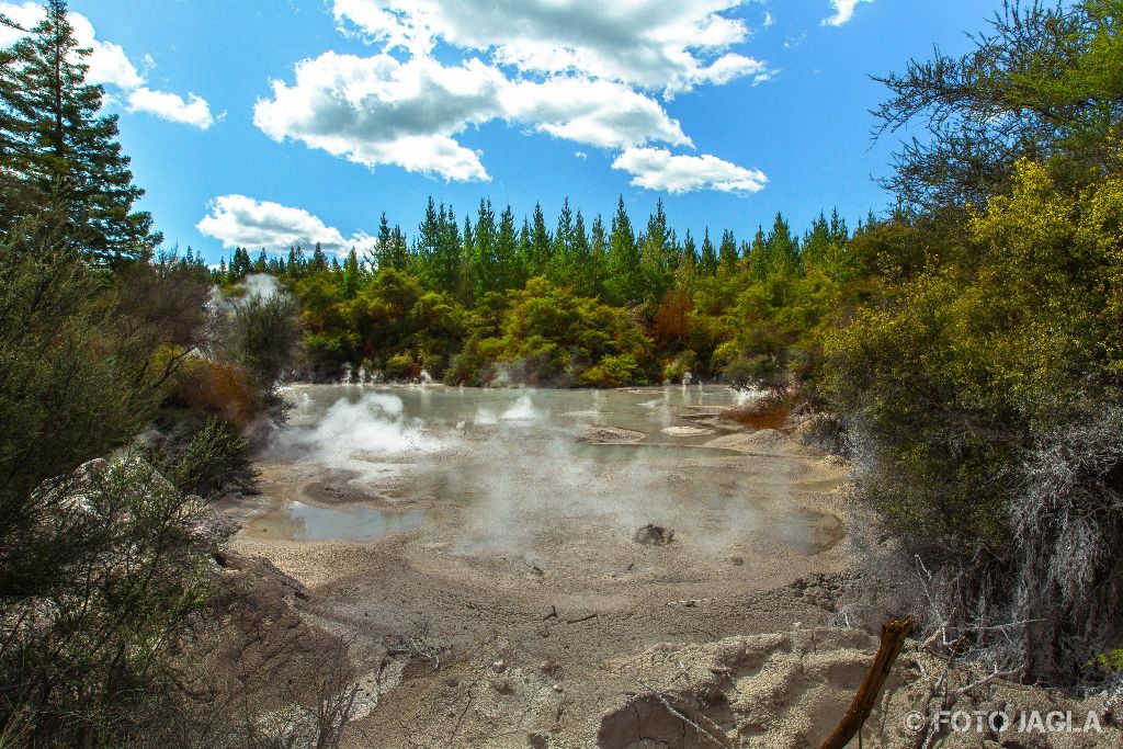 Wai-O-Tapu Thermal Wonderland
Rotura
Neuseeland (Nordinsel)