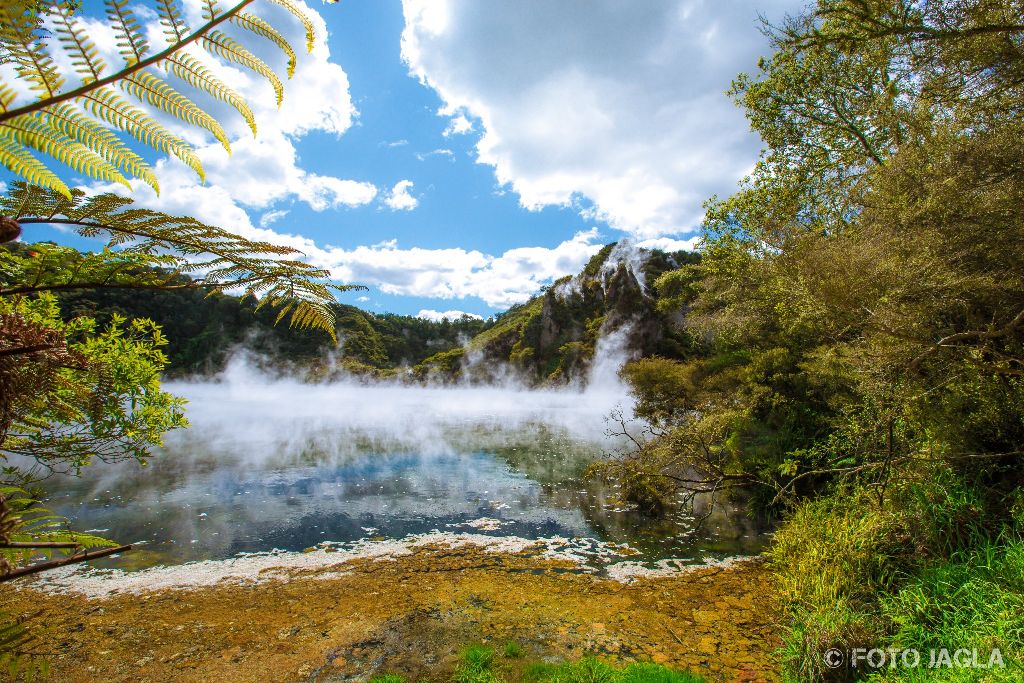 Waimangu Volcanic Valley
Neuseeland (Nordinsel)