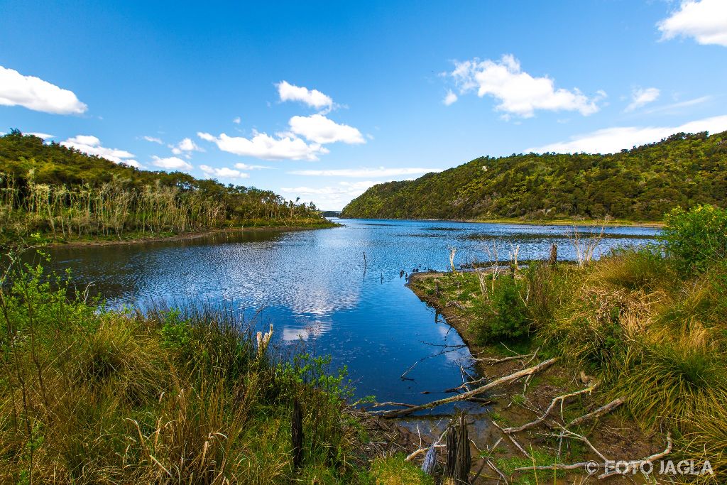 Waimangu Volcanic Valley
Neuseeland (Nordinsel)