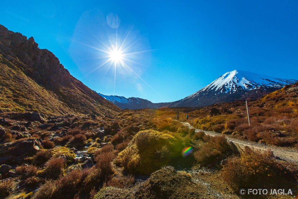 Tongariro National Park
Alpine Crossing Tour durch die wunderschöne Berglandschaft
Neuseeland (Nordinsel)