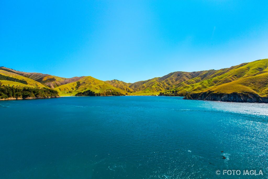 Fhrenberfahrt von Wellington nach Picton
Die weltweit schnste Fhrstrecke
Neuseeland