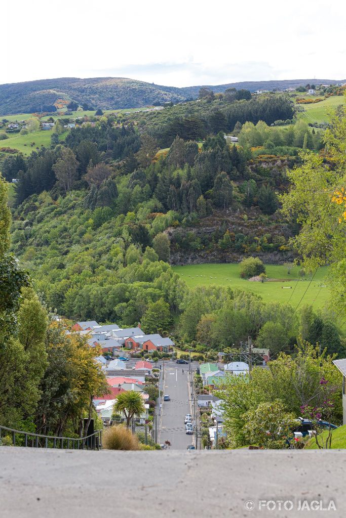 Baldwin Street in Dunedin
Die steilste Straße der Welt
Neuseeland (Südinsel)