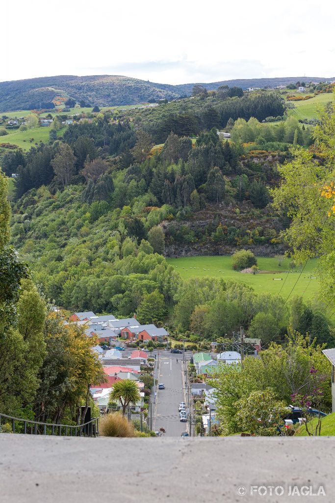 Baldwin Street in Dunedin
Die steilste Strae der Welt
Neuseeland (Sdinsel)