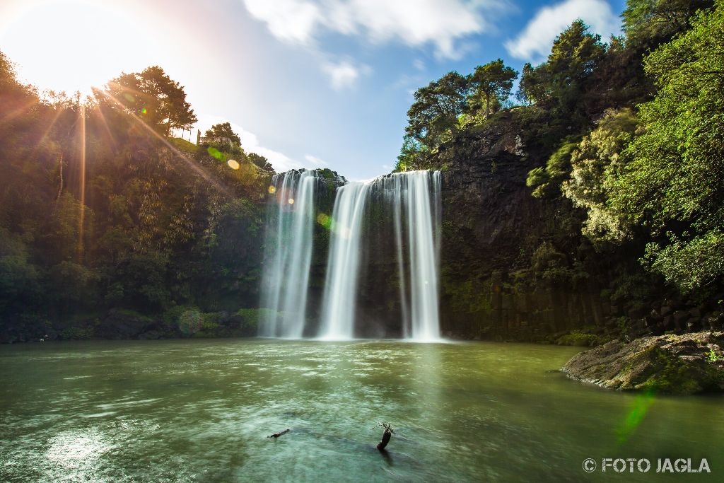 Whangerei Falls in Whangarei Scenic Reserve
Neuseeland (Nordinsel)