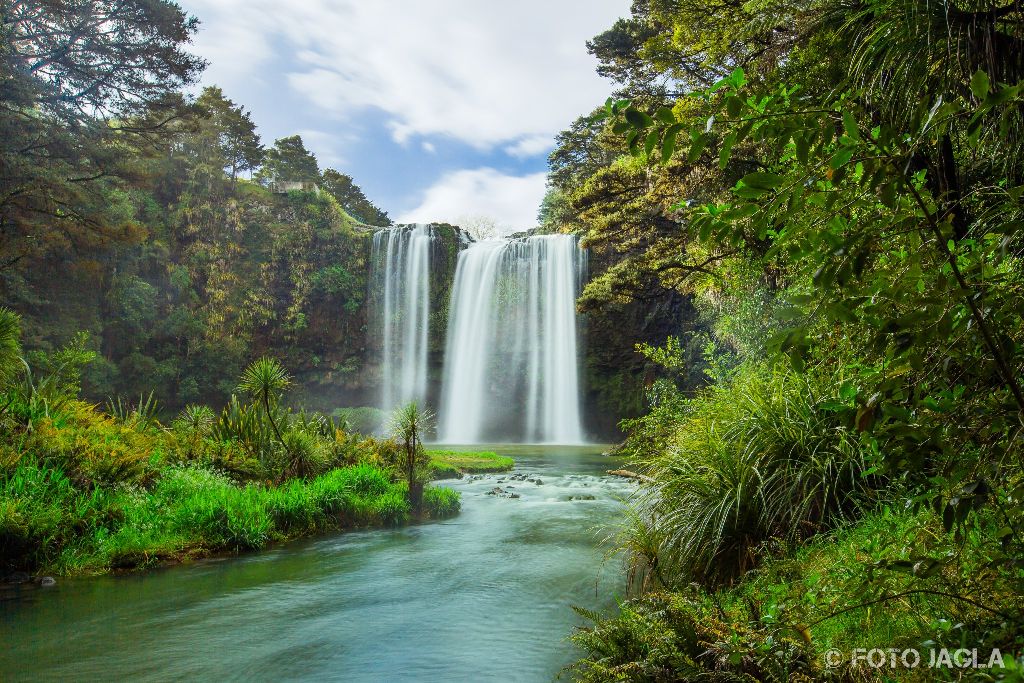 Whangerei Falls in Whangarei Scenic Reserve
Neuseeland (Nordinsel)