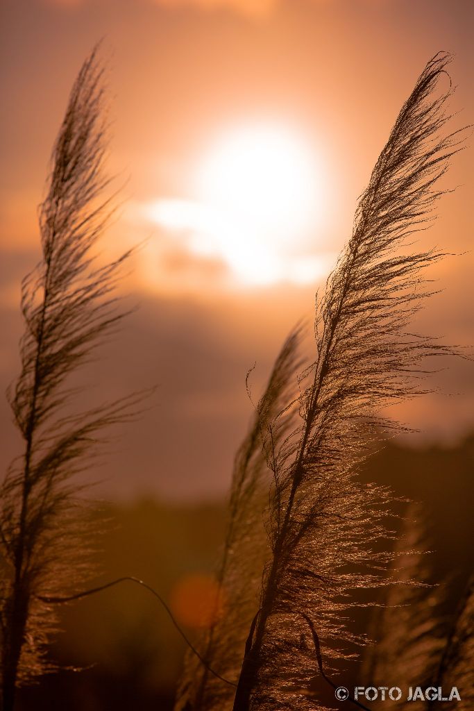 Neuseeland (Nordinsel) - Sonnenuntergang