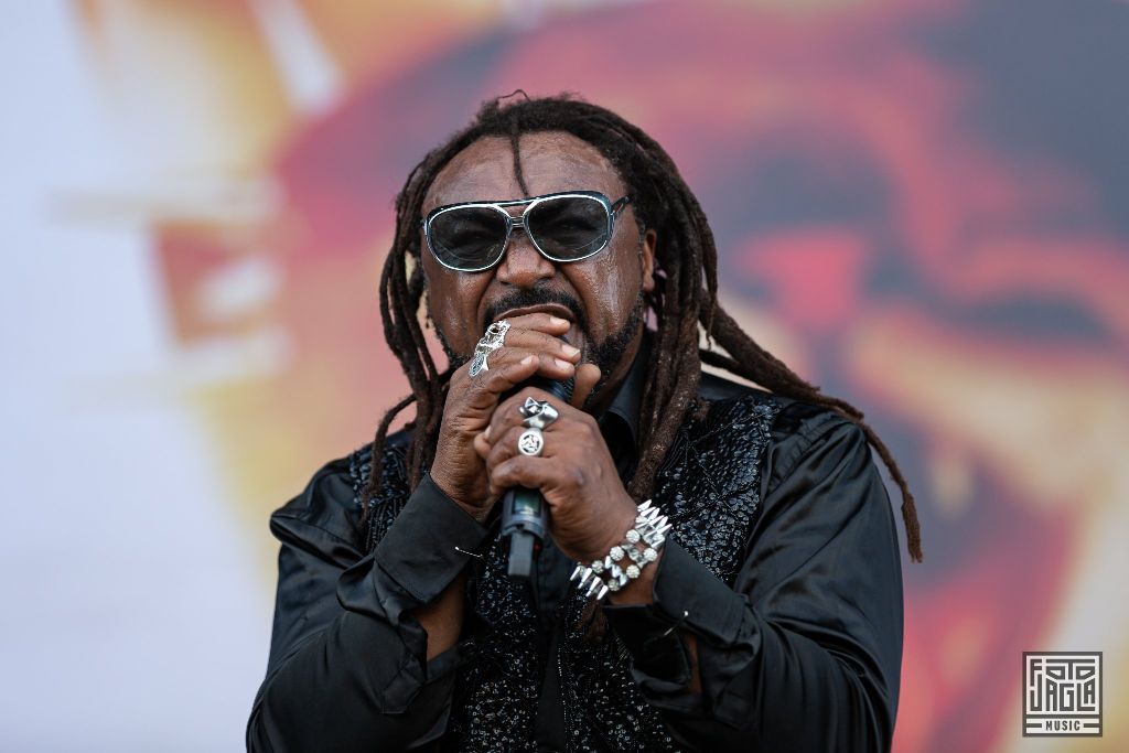 Summer Breeze Open Air 2019 in Dinkelsbhl (SBOA)
Skindred auf der Main Stage