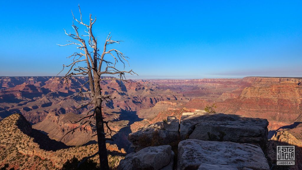 Grand Viewpoint in Grand Canyon Village
Arizona, USA 2019