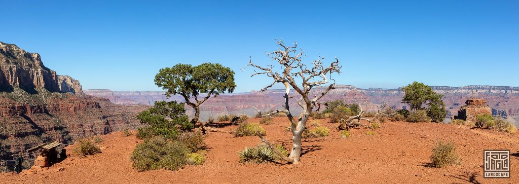 Cedar Ridge at the South Kaibab Trailhead in Grand Canyon Village
Arizona, USA 2019