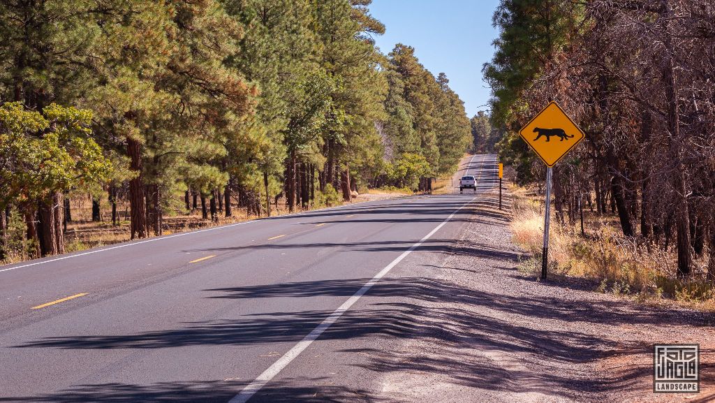 Desert View Drive in Grand Canyon Village
Arizona, USA 2019