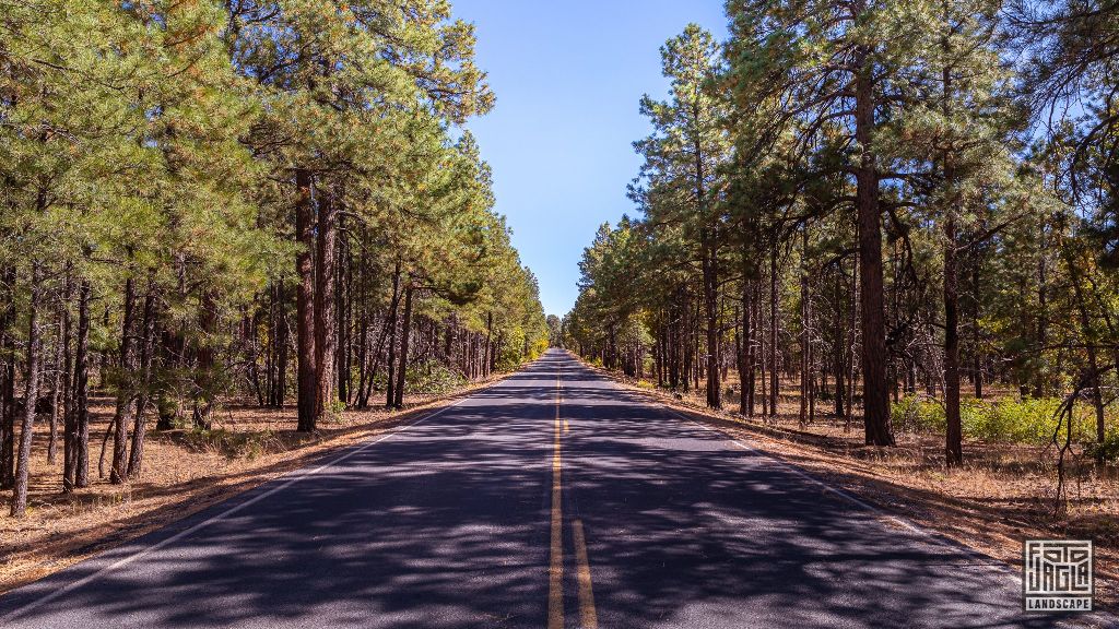 Desert View Drive in Grand Canyon Village
Arizona, USA 2019