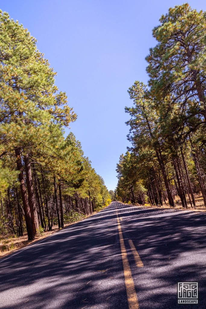 Desert View Drive in Grand Canyon Village
Arizona, USA 2019