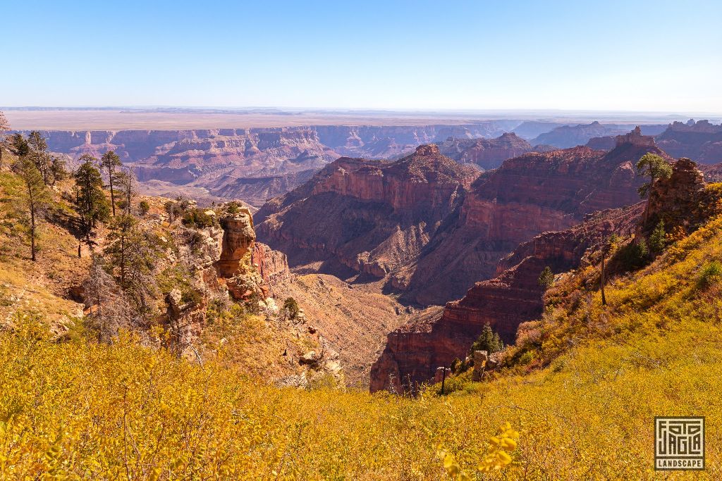 North Rim - Grand Canyon National Park
Arizona, USA 2019